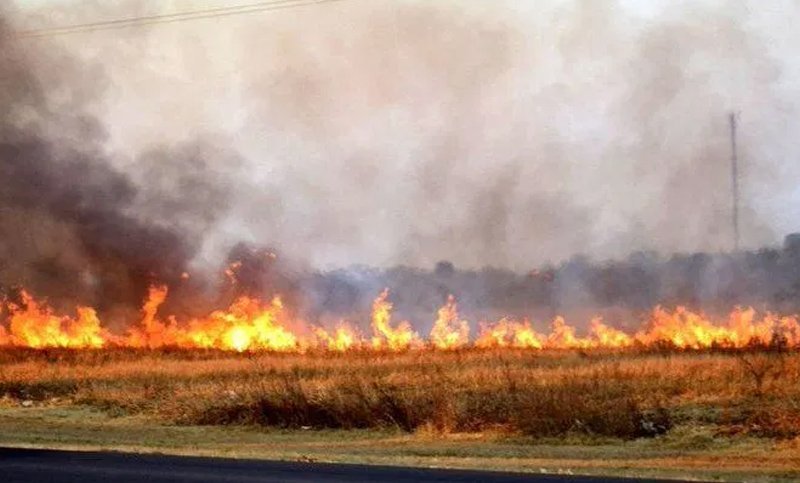 Sequía e incendios en Corrientes: hay más de 300 mil hectáreas afectadas y denuncian la falta de ayuda del Gobierno nacional