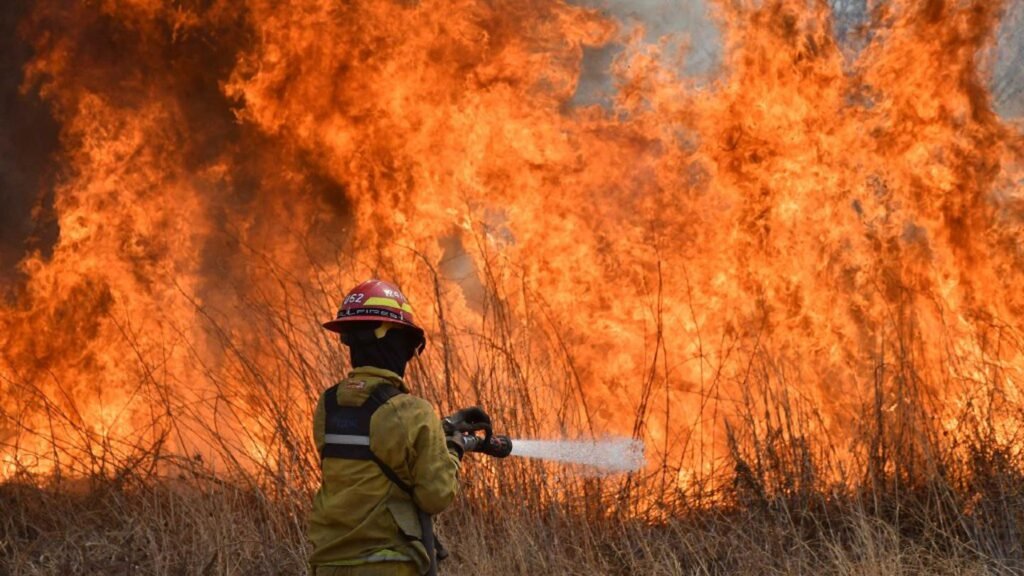 Sequía, cambio climático y falta de políticas: ¿por qué cada vez hay más incendios en la Argentina?