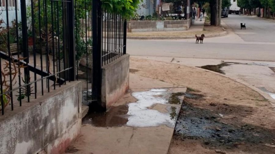 Femicidio en Córdoba: discutió con su ex pareja y la asesinó en plena calle