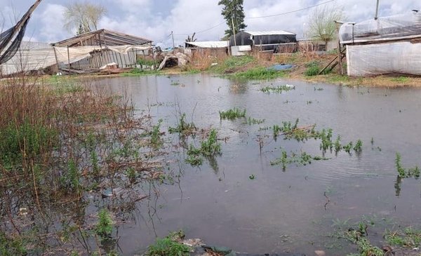 La Provincia asiste con $ 802 millones a productores frutihortícolas de La Plata y la Región por los daños de la última tormenta