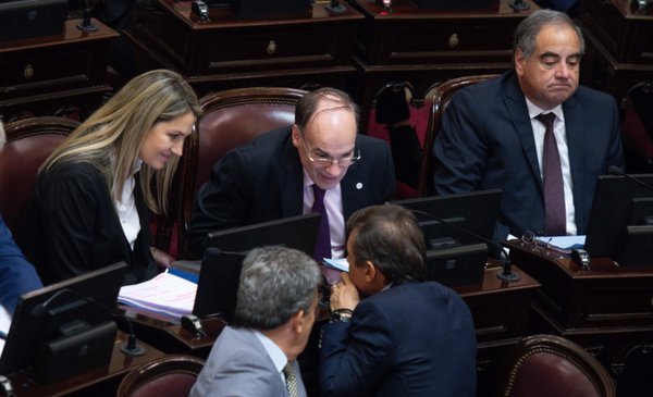 Mega sesión del Senado: tratan Ganancias, Ley de Alquileres y el pliego de la jueza Figueroa