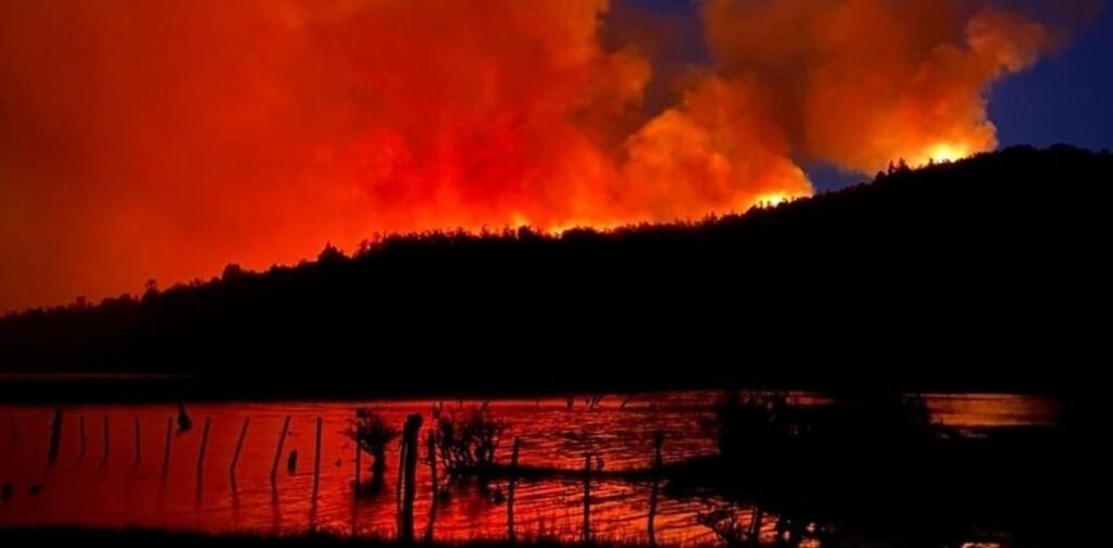 Advirtieron que un 70% de las hectáreas quemadas en Chubut pertenecen al Parque Nacional Los Alerces