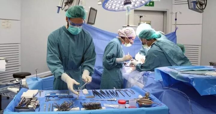 Un riñón de cerdo modificado genéticamente fue trasplantado con éxito una persona viva