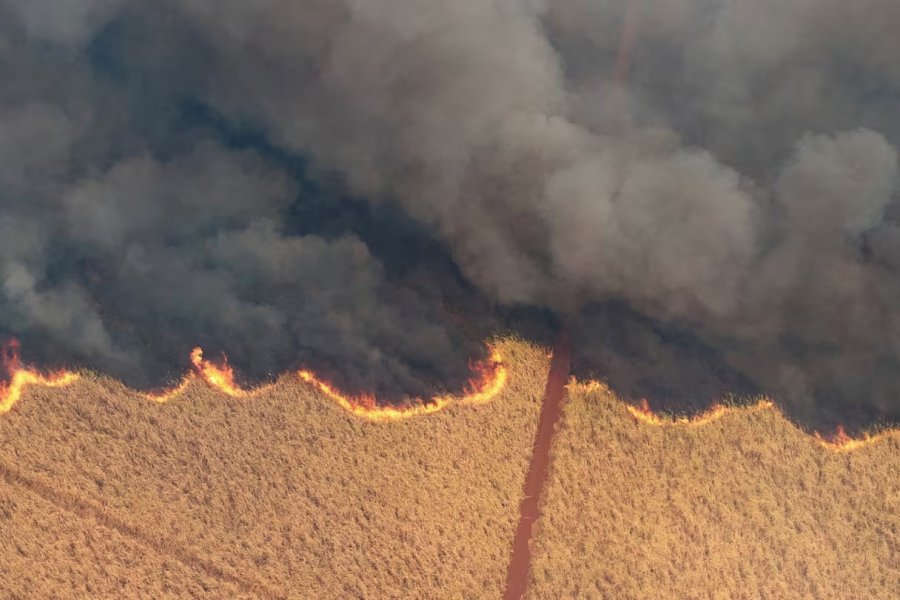 Alerta por humo en varias provincias de Argentina debido a incendios en países vecinos