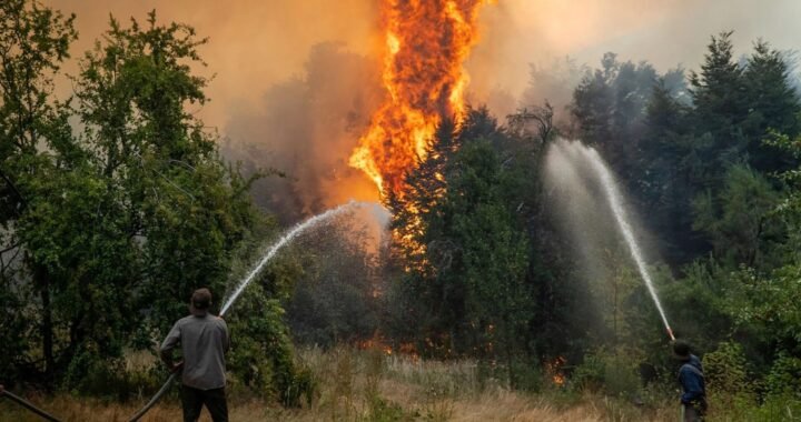 Emergencia ambiental en la Patagonia: proponen ley por los incendios forestales