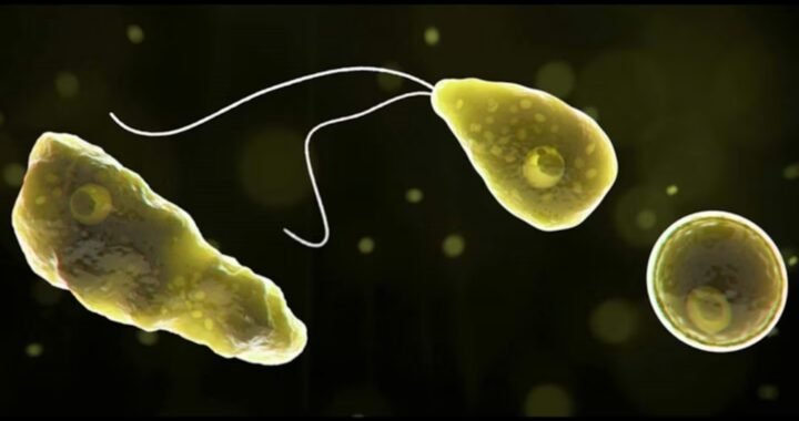 Murió un nene de 10 años en Catamarca por una rara infección causada por la ameba Naegleria fowleri